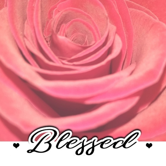 Meet your Posher, Connie - Picture 1 of 1